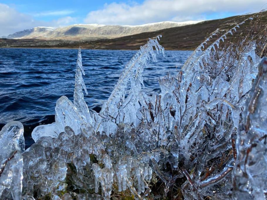 Delikat Hytte Omgitt Av Hallingdals Vakre Fjell Al Exterior foto