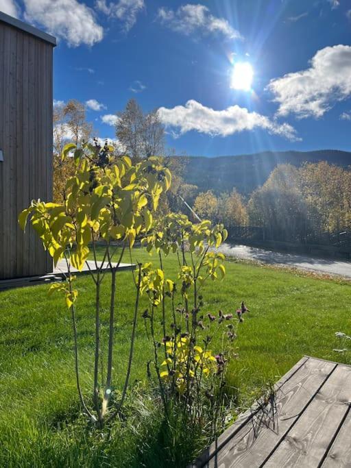 Delikat Hytte Omgitt Av Hallingdals Vakre Fjell Al Exterior foto